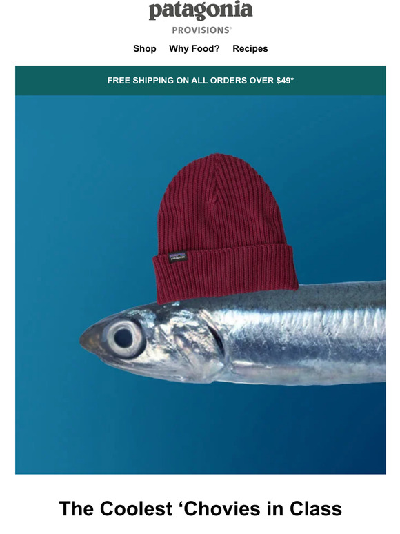 Anchovies In Pregnancy Nhs at Tatyana Freeman blog