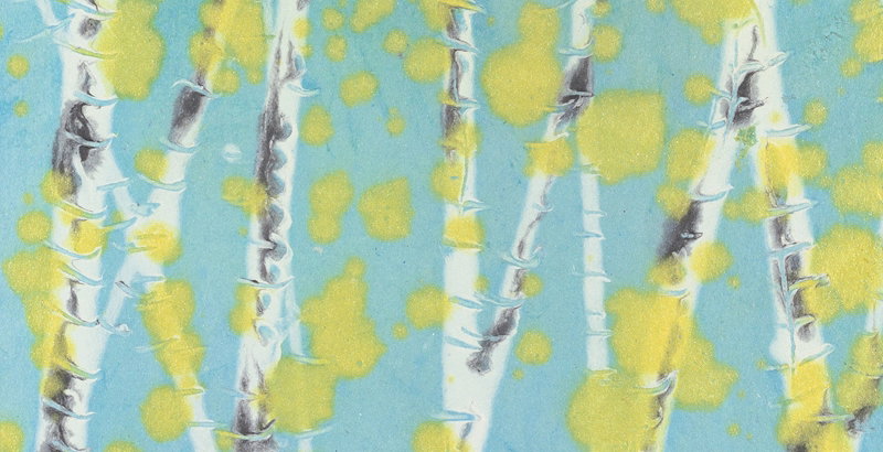 Decorated Paper: A Selection of Publications in Watson Library