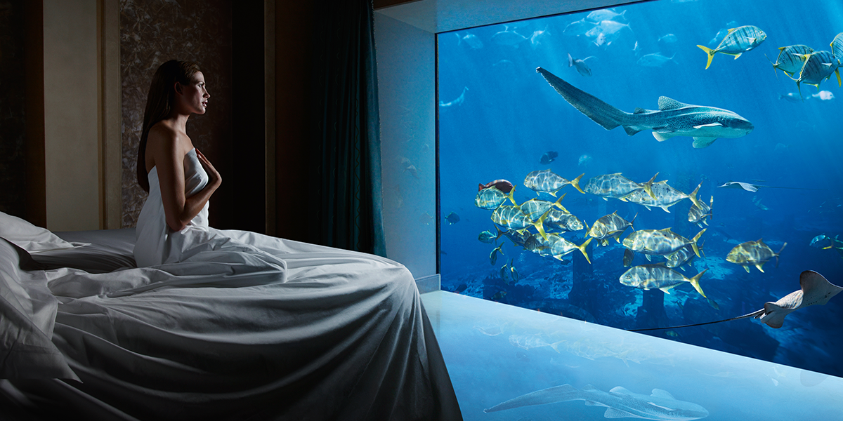 The Underwater Suite