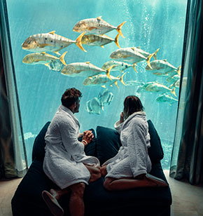 Underwater Suite