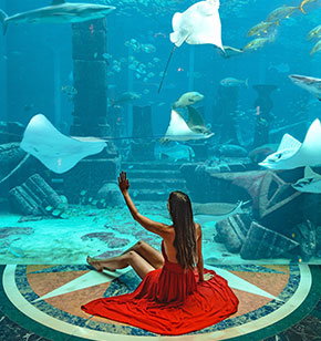 The Lost Chambers Aquarium