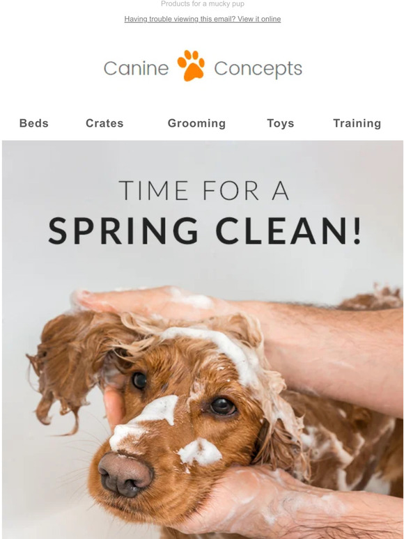In need of spring clean?