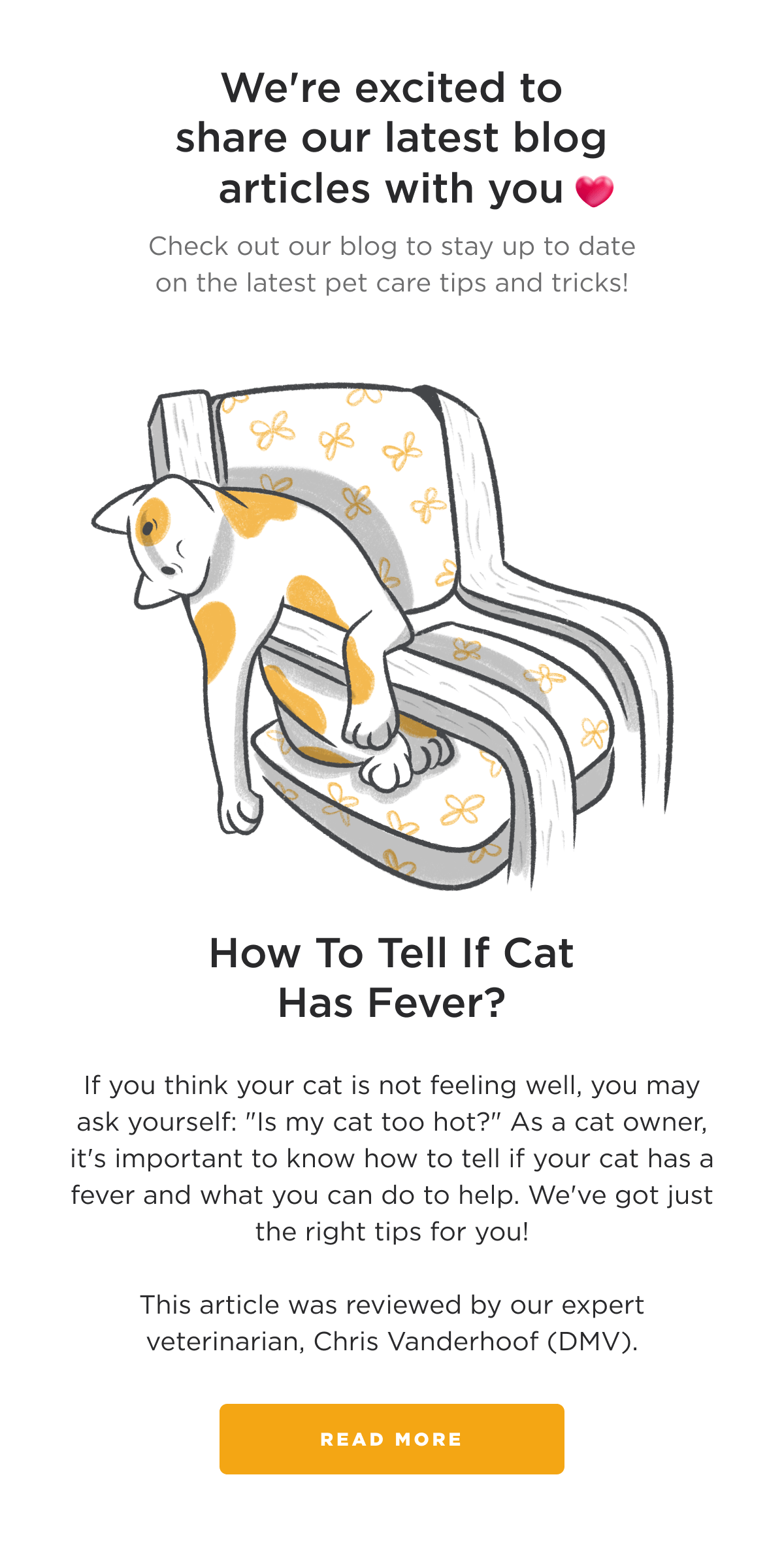 petcube How To Tell If Your Cat Has Fever? 🌡️ Or.... Can A Cat Have ADHD? 💭 Milled