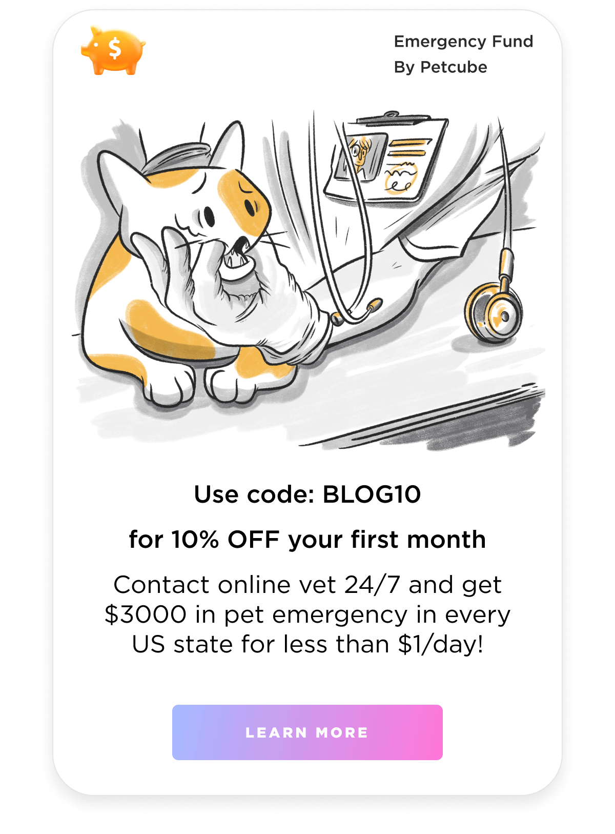 petcube How To Tell If Your Cat Has Fever? 🌡️ Or.... Can A Cat Have