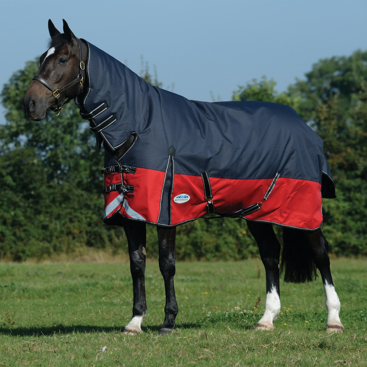 Weatherbeeta Comfitec Plus Dynamic II Combo Neck Medium Turnout Rug - Black Red Silver