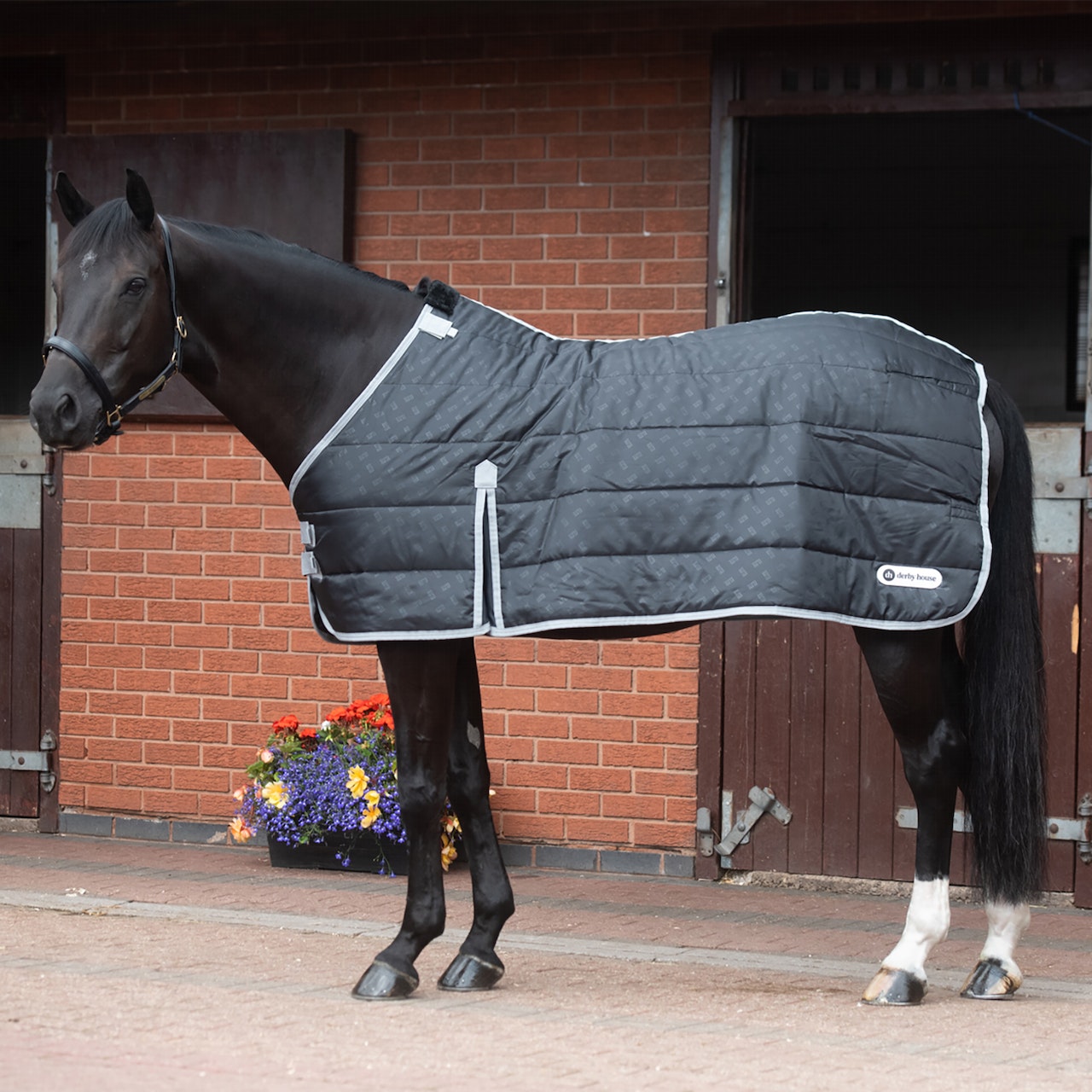 Derby House Elite Standard 100g Liner Under Rug - Black Cool Grey