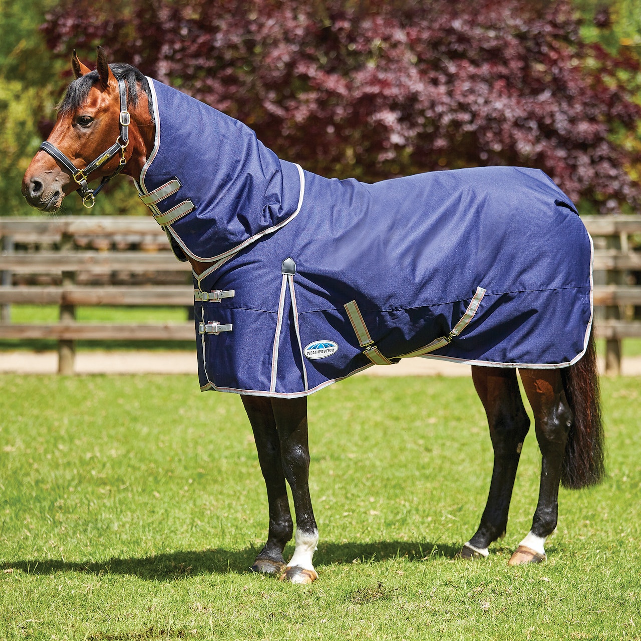 Weatherbeeta Comfitec Essential Detach A Neck Lite Plus Turnout Rug - Navy Silver Red