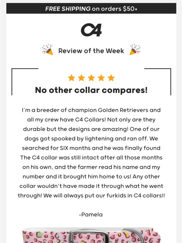C4 - Amazing Review of the WEEK!