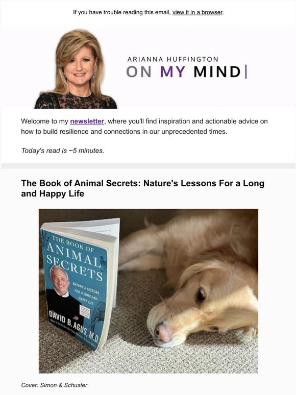 💭  What Animals Can Teach Us: On My Mind