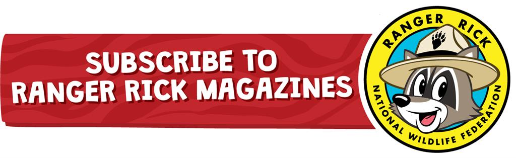 Subscribe Banner