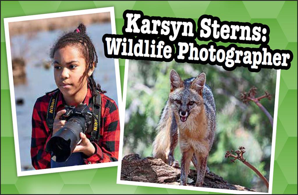 Karsyn Sterns: Wildlife Photographer