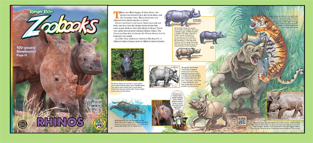 Ranger Rick Zoobooks - Rhinos