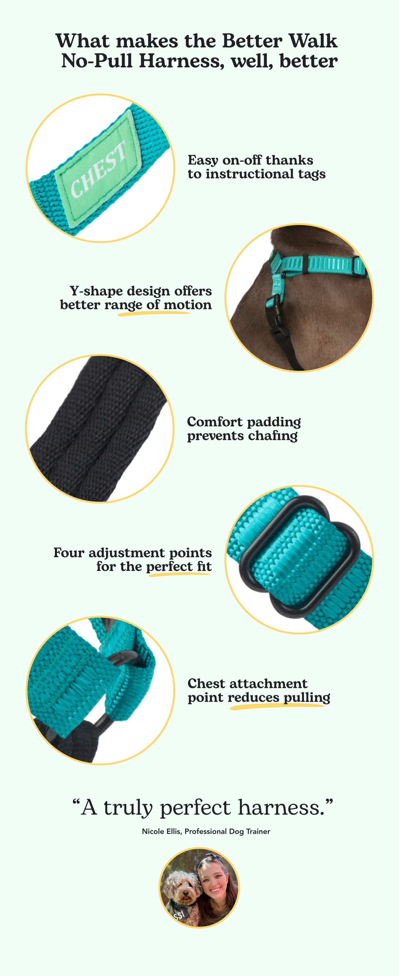 Rover Introducing the Better Walk NoPull Dog Harness designed by