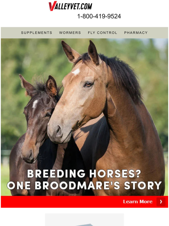 Valley Vet Supply Foaling Favorites Inside Milled