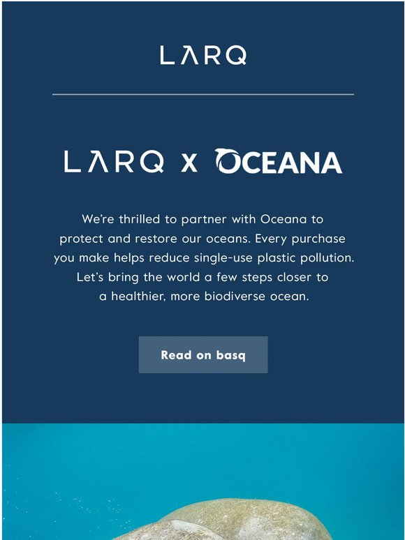Restoring our oceans with Oceana 🌊