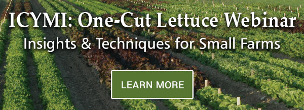 LEARN MORE: Watch Johnny's Webinar on One-Cut Lettuce