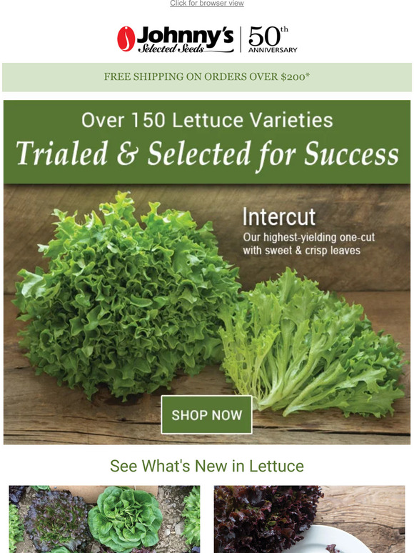 Grow a Diversity of Lettuces