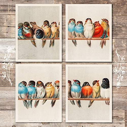 A Perch Of Birds Art Prints (Set of 4) - 8x10