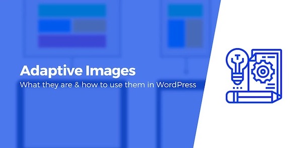 Themeisle: Adaptive Images For WordPress - What Are They? 🖼️ (also ...