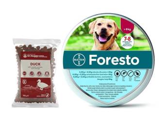 BAYER OBROŻA FORESTO 4,50g + 2,03g przeciw pchłom pies od 8kg dł 70cm + Dr.Huggy supreme dog nutrit