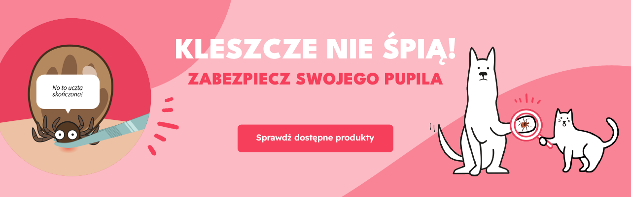 kleszcze