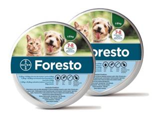 BAYER OBROŻA FORESTO 2 x (1,25g + 0,56g) przeciw pchłom pies kot do 8kg dl 38cm ZESTAW