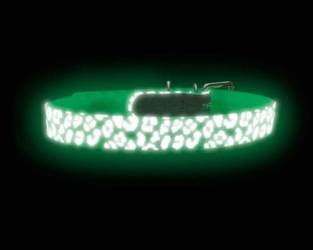 Hunter Obroża Dla Psa Convenience Reflect Glow Leopard Biała Dł. 65 Szer. 2,5Cm