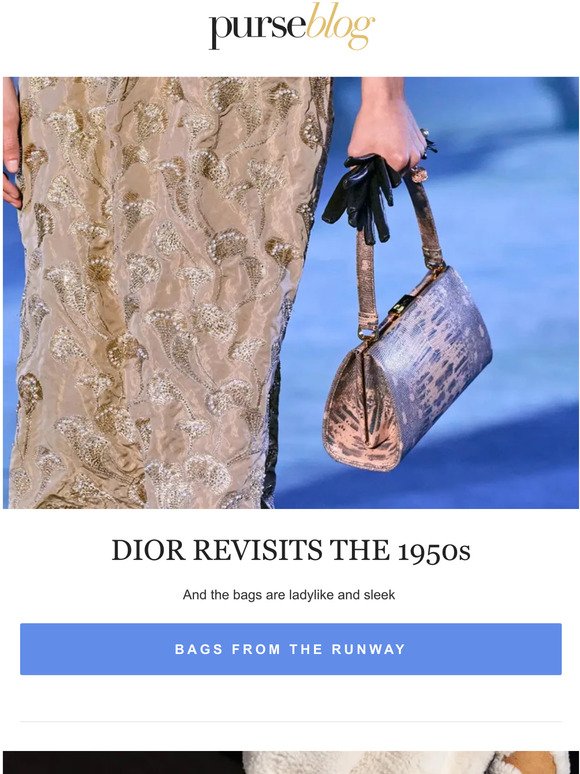 Celebs Show Off Bags From Dior, Bottega Veneta and More - PurseBlog
