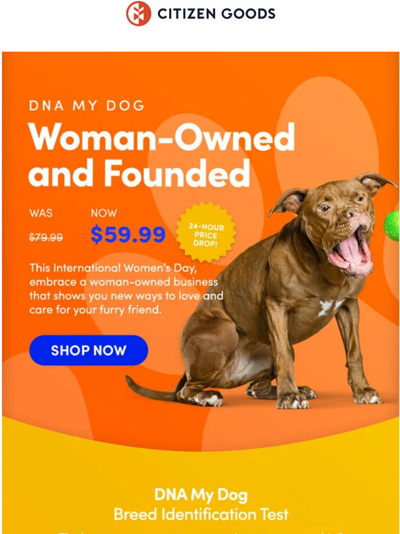 A Woman-Owned Business You and Your 🐶 Will Love