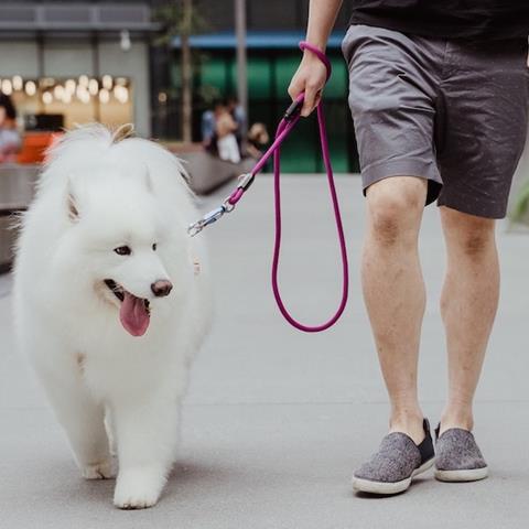 MUi Magnetic Rope Leash for dogs uses a patented MUi connection system & climbing rope
