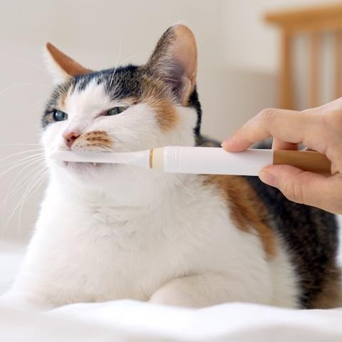 ForCatCare purring electric toothbrush finally makes brushing teeth fun for cats