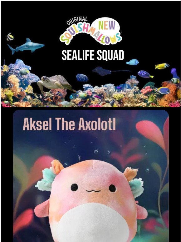 🐳 Check Out The Latest Sealife Squad