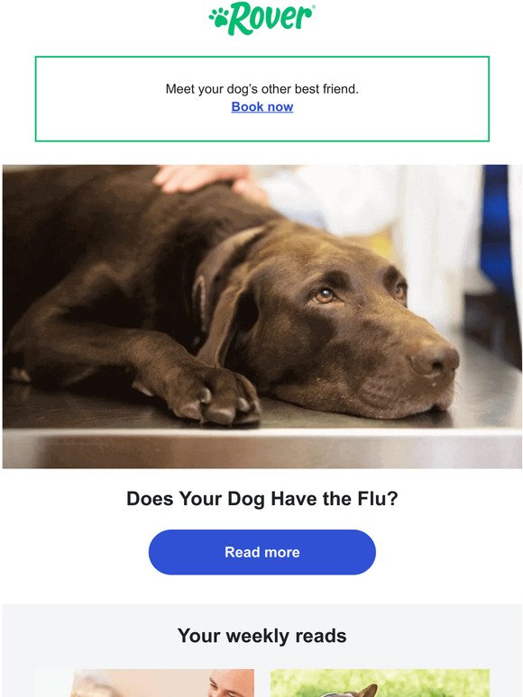 Has your dog ever had the flu?