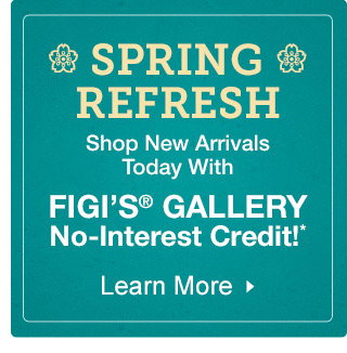 Learn More About Figis Gallery Credit