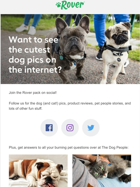 Your social feed has never looked cuter