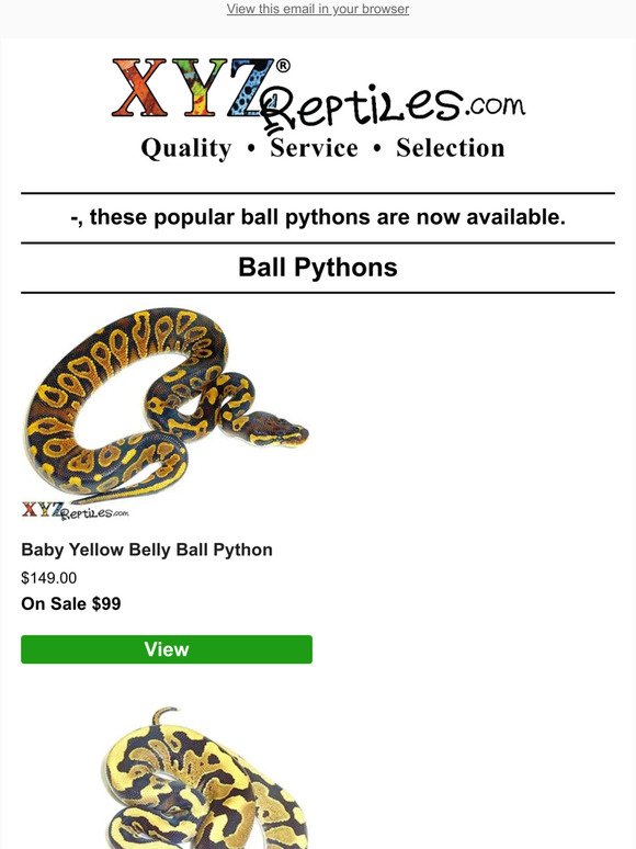 🐍Yellow Belly, Fire & More Ball Pythons In Stock