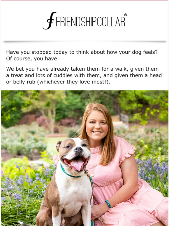 Your dog is so happy!🐕