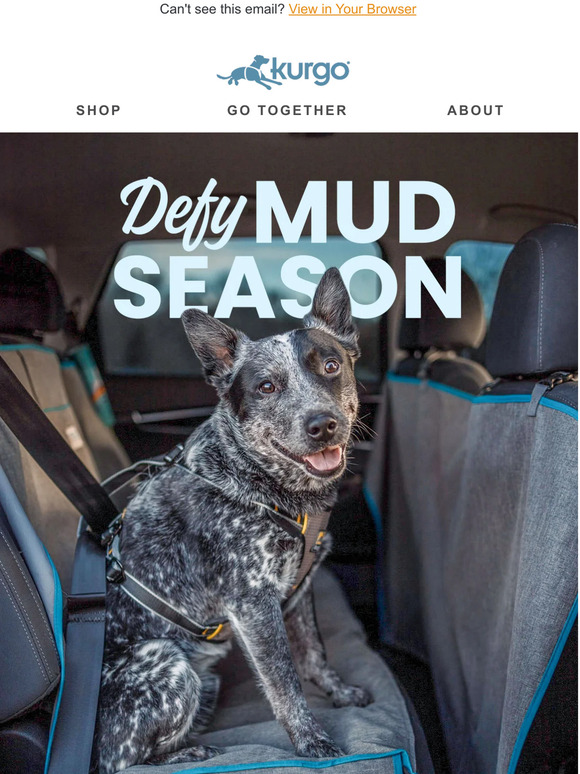 Dirty Dog. Clean Car?