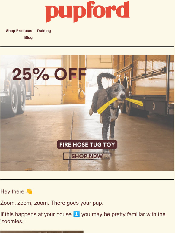 pupford [article] Everything You Should Know About the Zoomies for