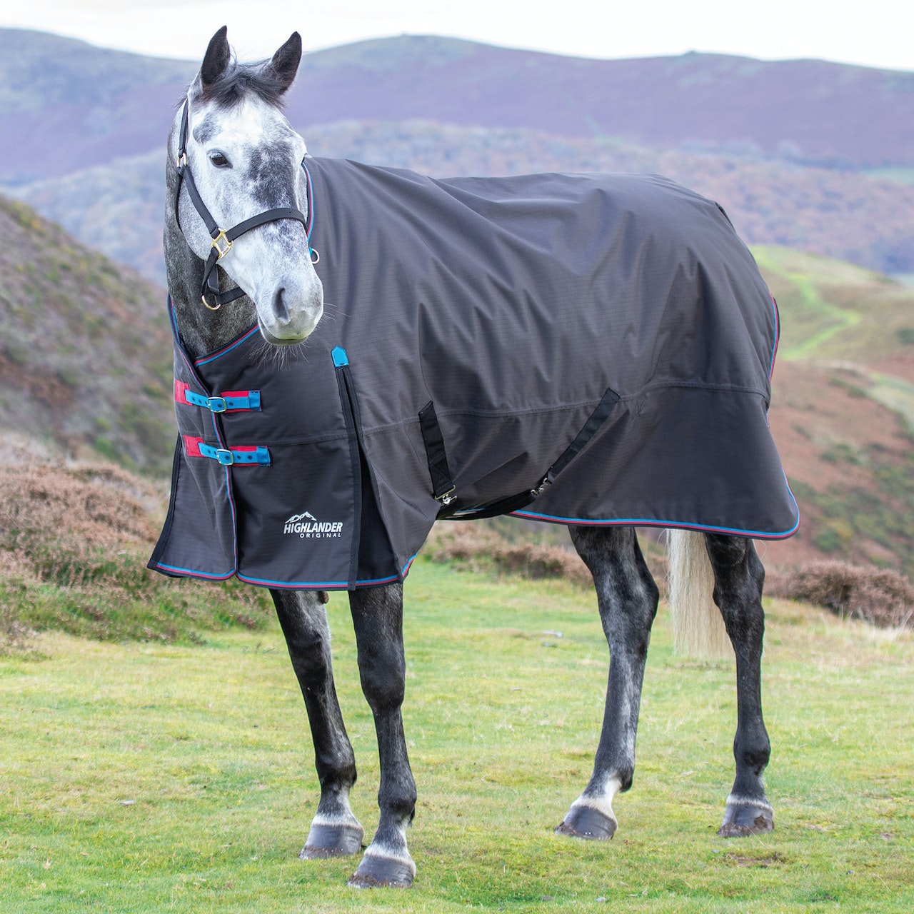 Shires Highlander Original 200 Turnout Rug - Black