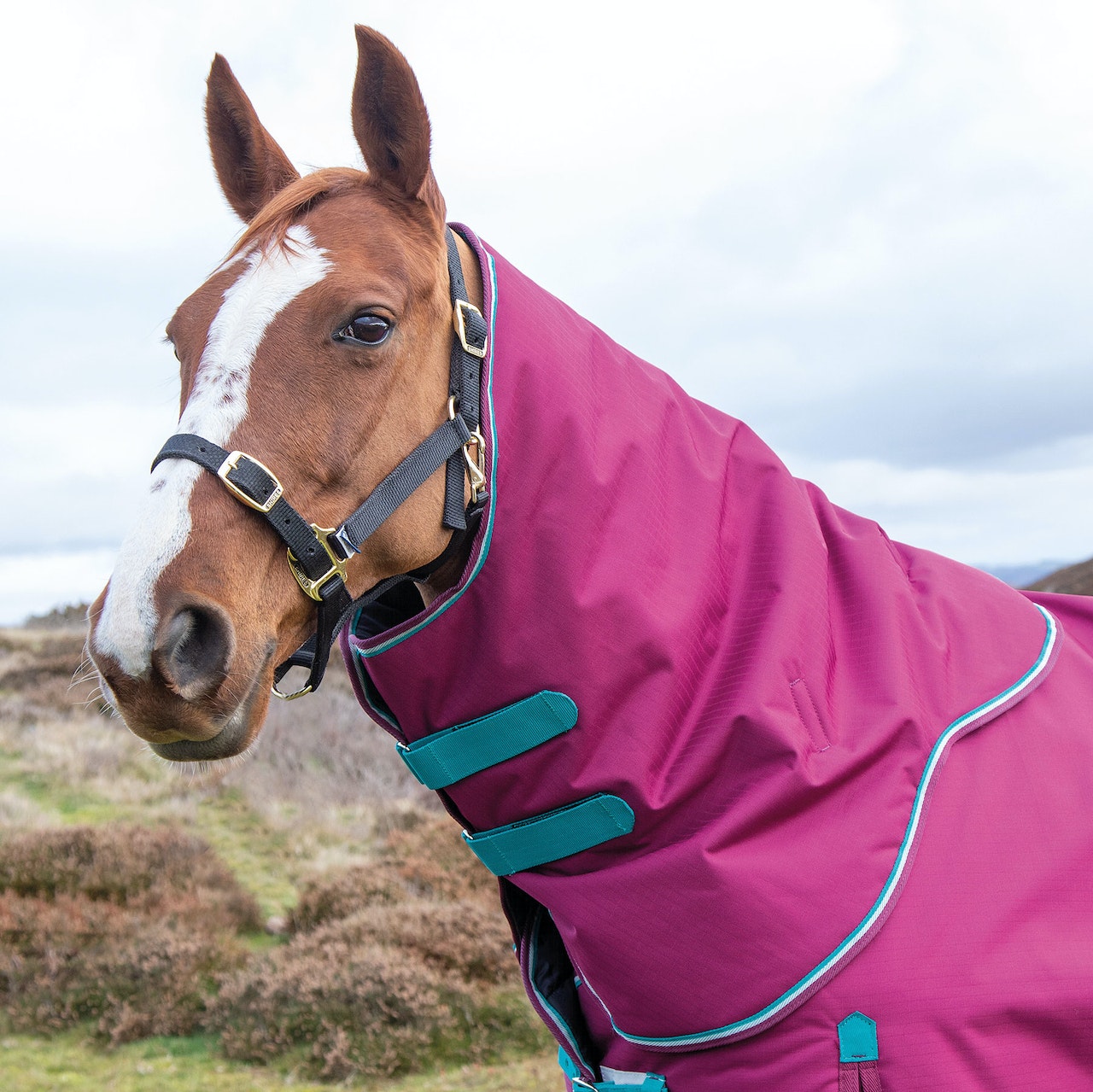 Shires Highlander Original 300 Neck Cover - Raspberry