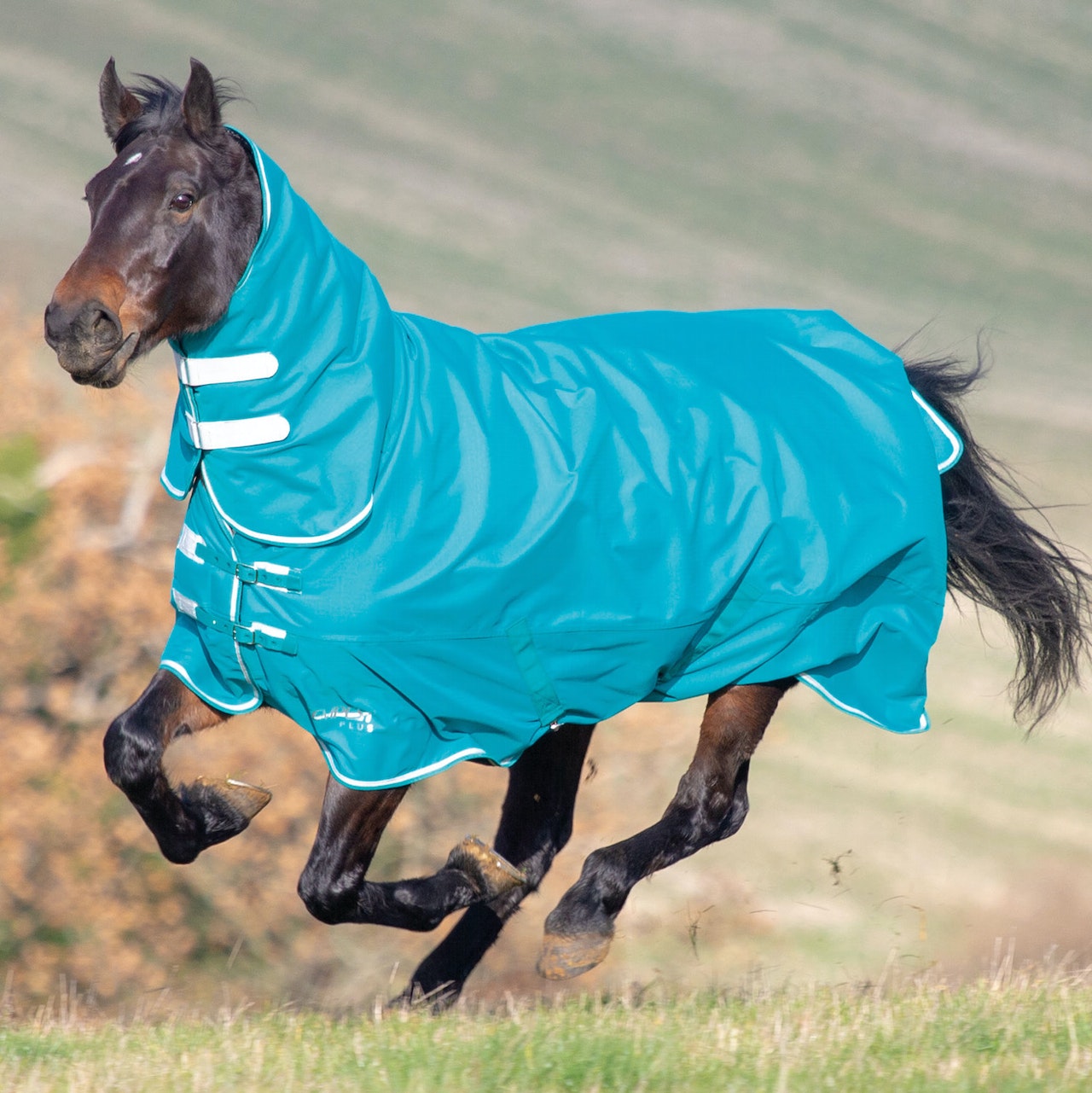 Shires Tempest Plus 200g Combo Turnout Rug - Teal