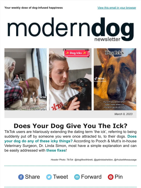 Sprocket Shueey  Modern Dog magazine