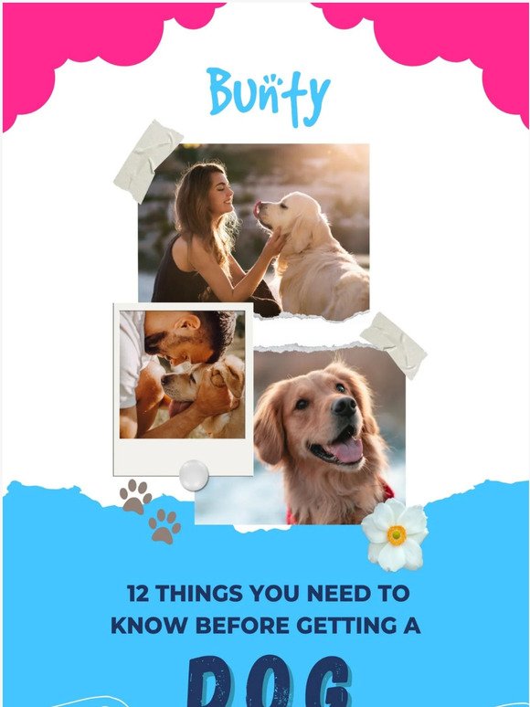 12 Things you Need to Know Before Getting a Dog
