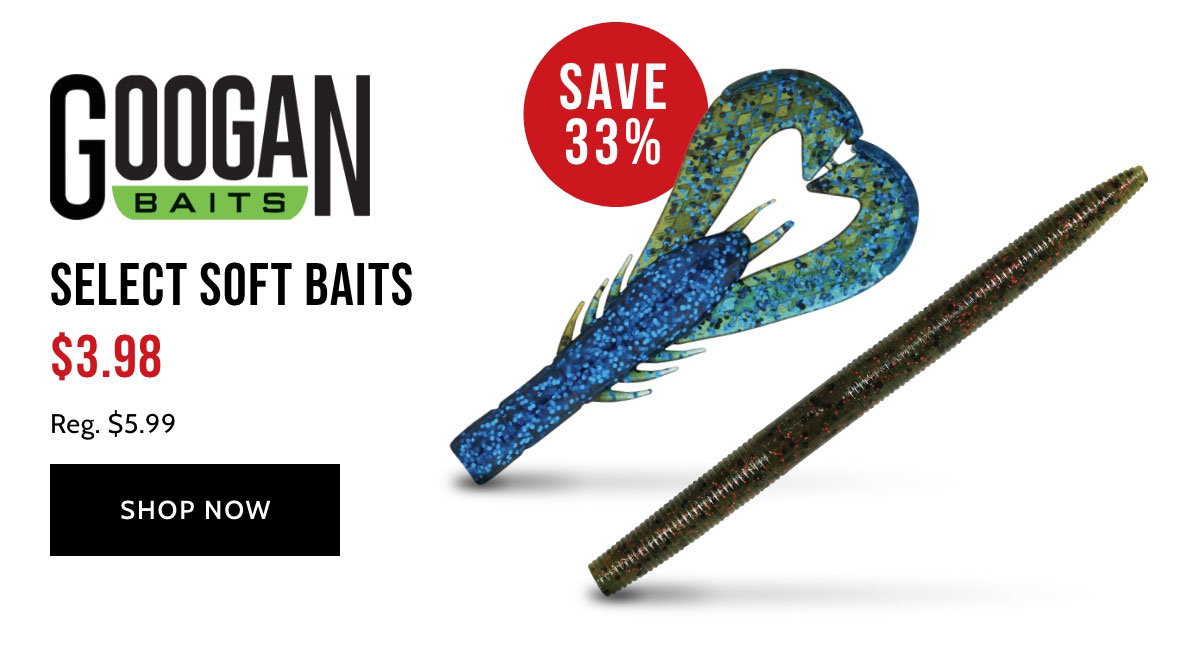 Googan Baits