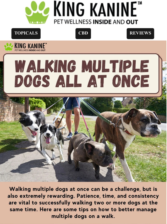 King Kanine, LLC 🦮🦮🚶‍♀️Tips to Walk Multiple Dogs 🦮🦮🚶‍♀️ Milled