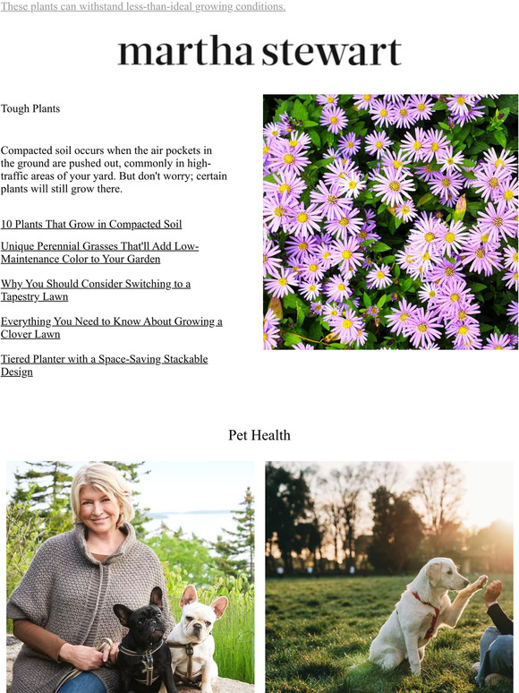 Martha Stewart 10 Plants That Grow in Compacted Soil Milled