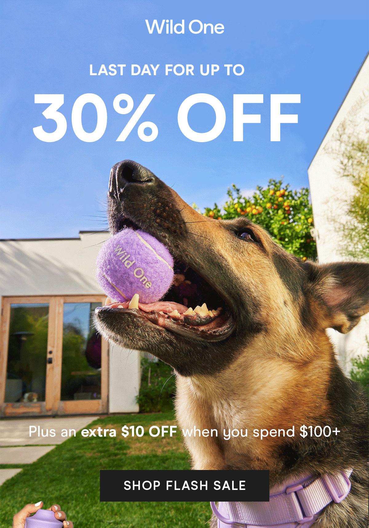 Wild One Daylight SAVINGS are almost gone! Milled