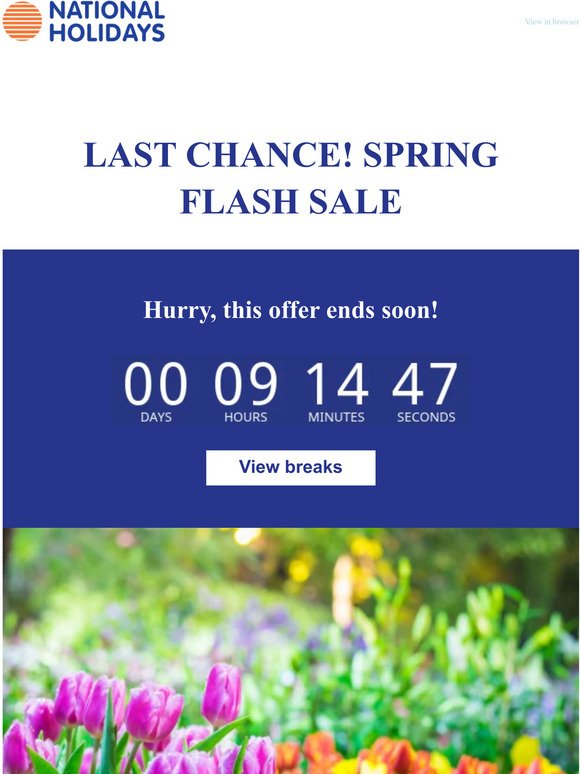 Last Chance! Spring Flash Sale Ends Today