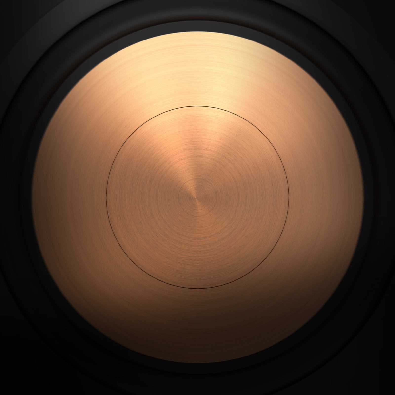 HAPPINESS IS COPPER AND BLACK
